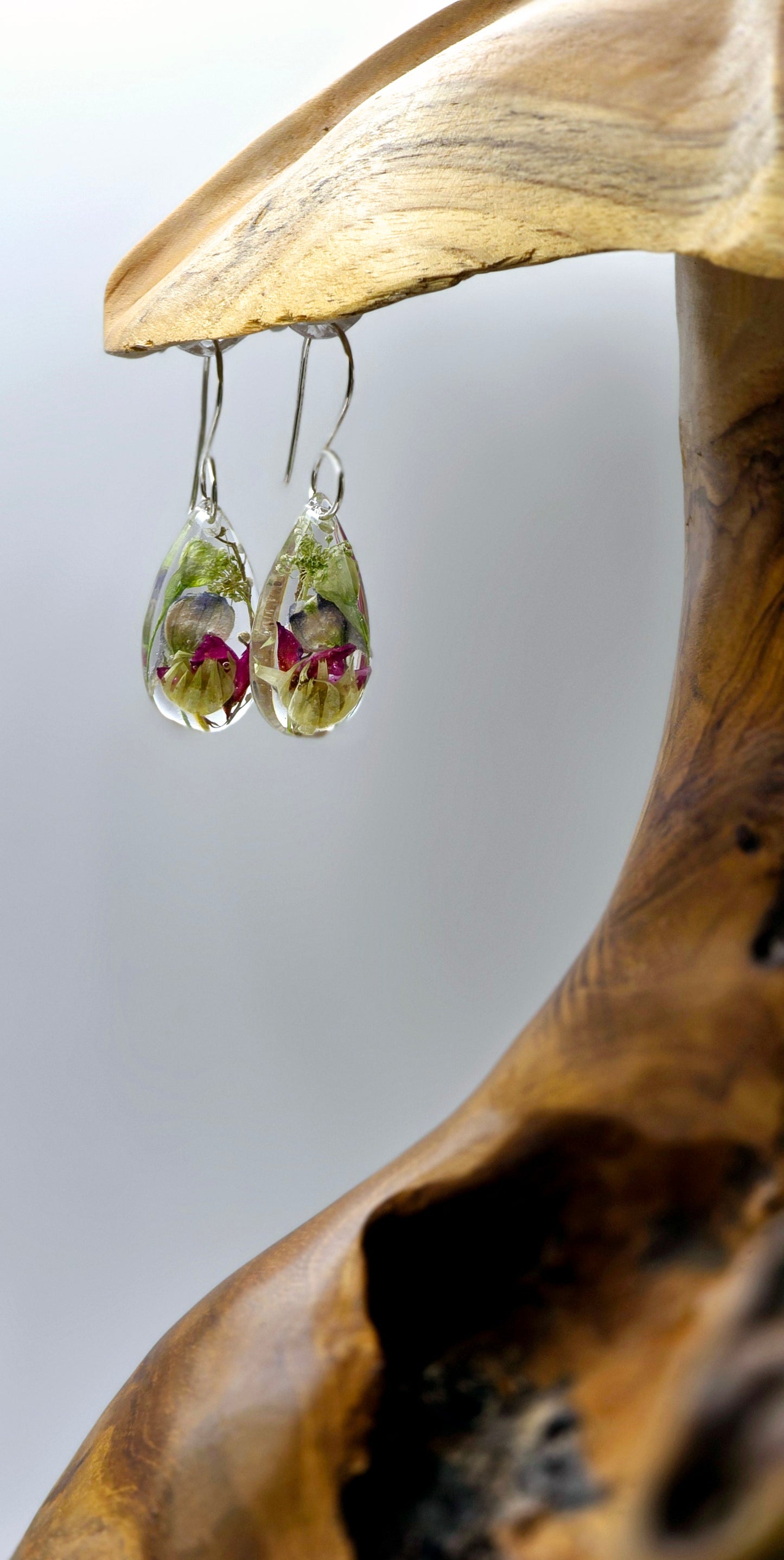 Specimens of Flannel Flower, Queen Anne's Lace, Boronia, Wattle and Delphinium