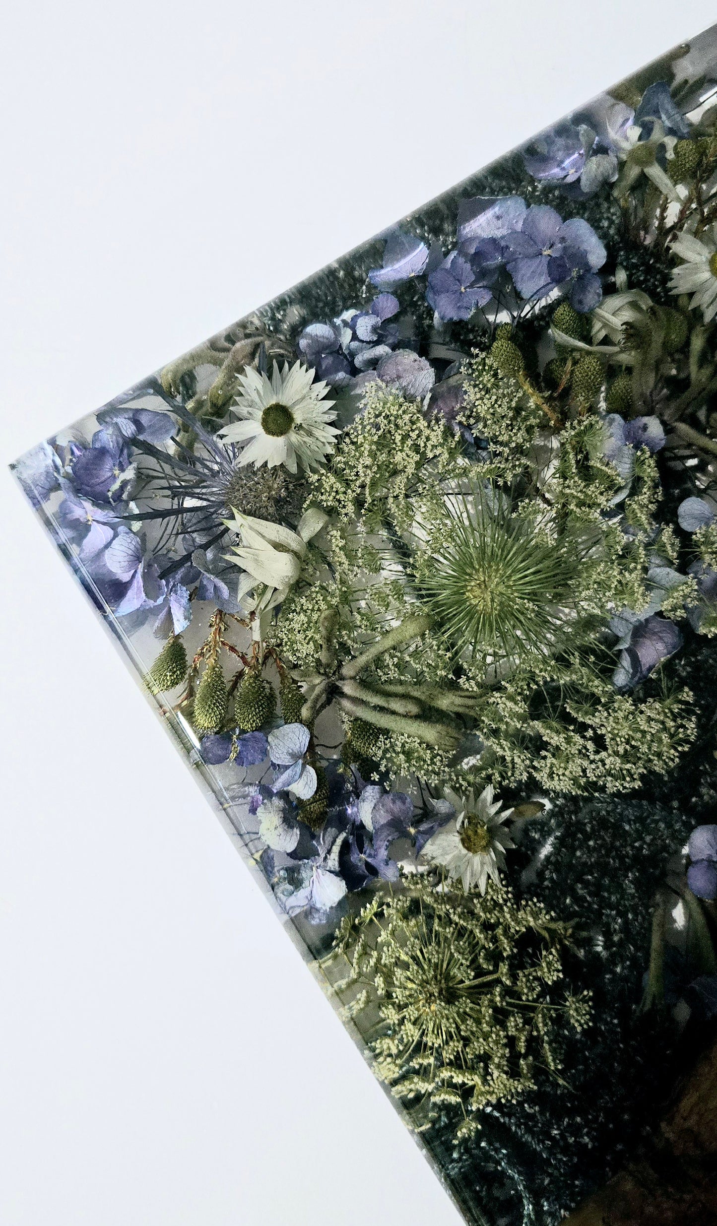 Flower Board with Olivewood, Kangaroo Paw, Queen Anne's Lace, Amaranthus, Hydrangea, Berzellia, Sea Holly, Flannel Flower and Paper Daisies.