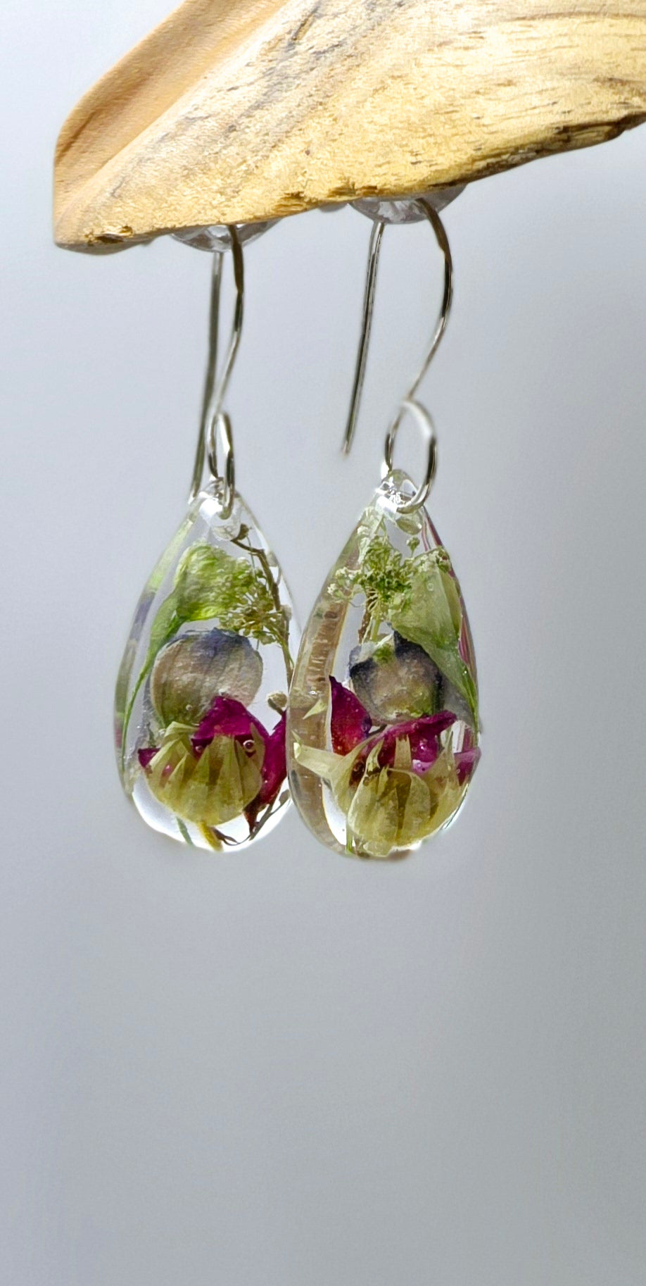 Specimens of Flannel Flower, Queen Anne's Lace, Boronia, Wattle and Delphinium