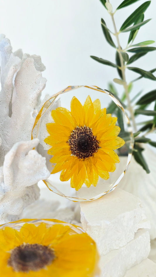 Coaster Sets with Preserved Flowers