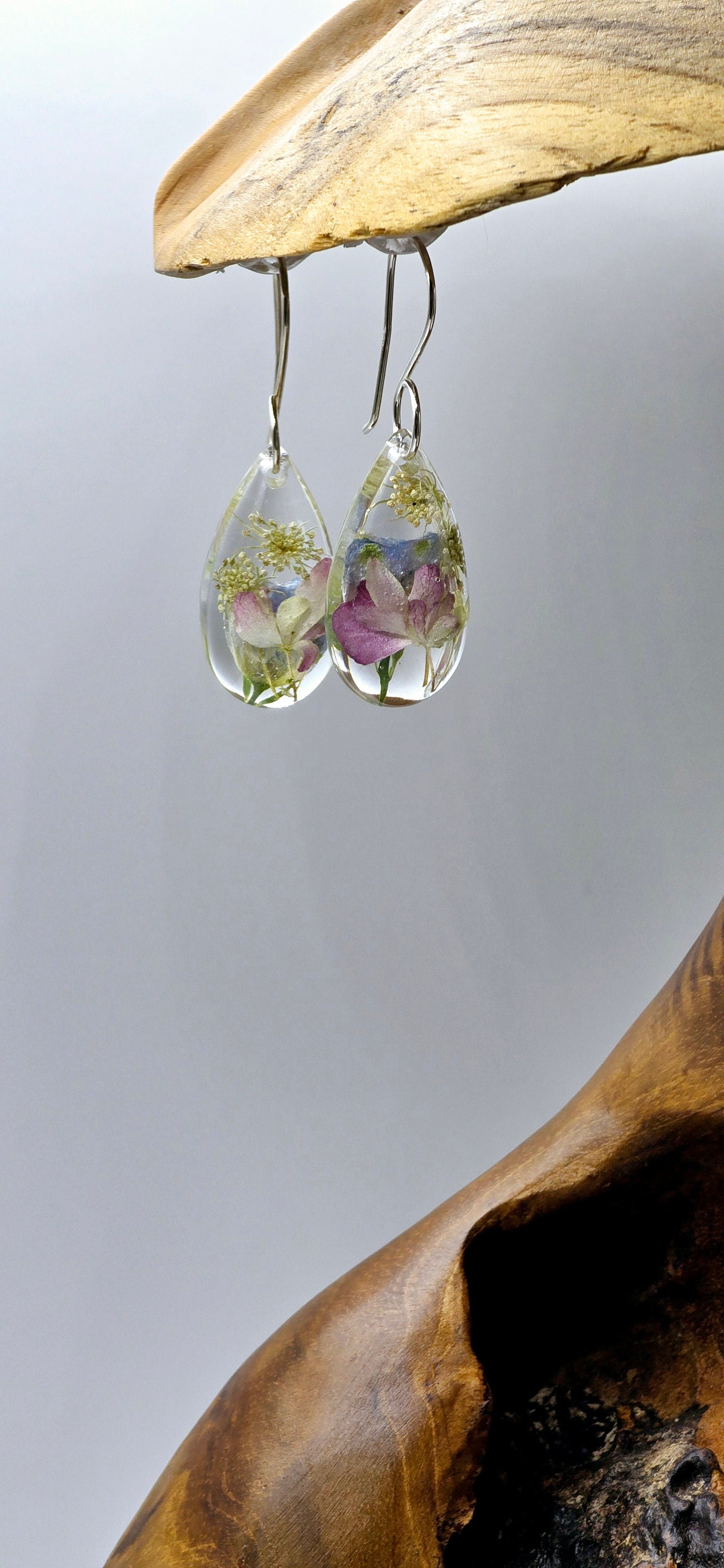 Specimens of Queen Anne's Lace, Delphinium and Hydrangea