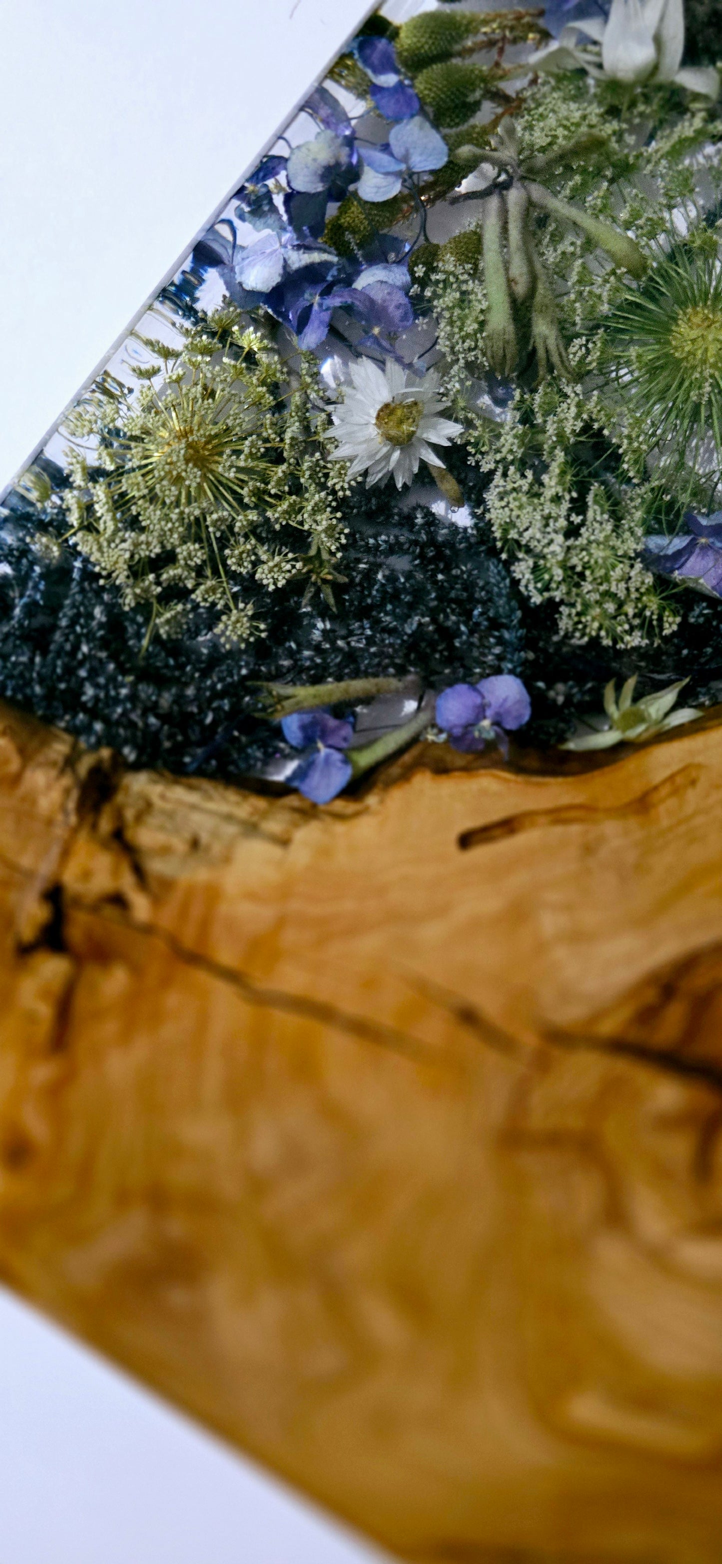 Flower Board with Olivewood, Kangaroo Paw, Queen Anne's Lace, Amaranthus, Hydrangea, Berzellia, Sea Holly, Flannel Flower and Paper Daisies.