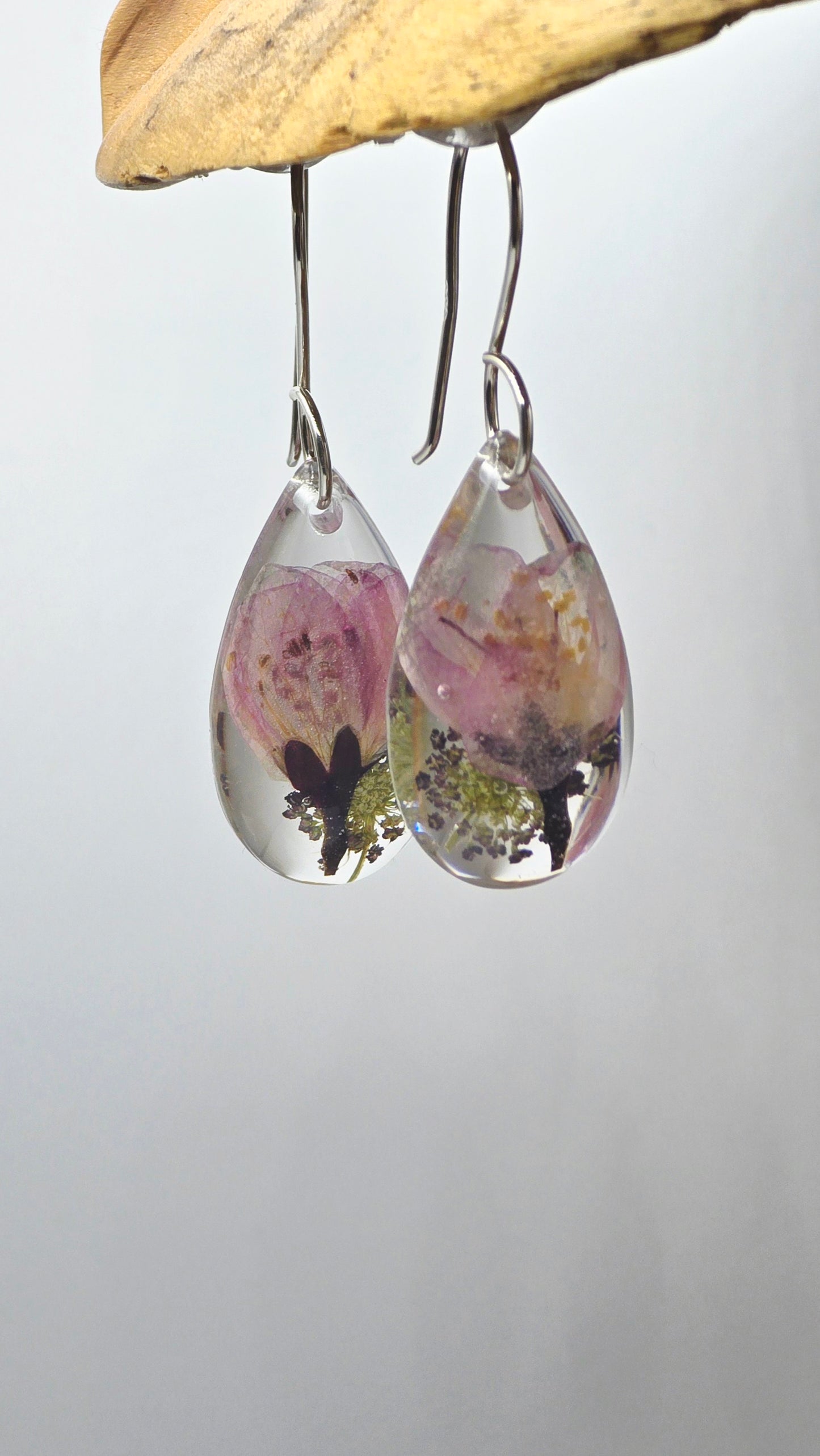 Earrings featuring wildflower specimens of Preserved Begonia & Chocolate Queen Anne's Lace, secured on a .925 Sterling Silver Hook