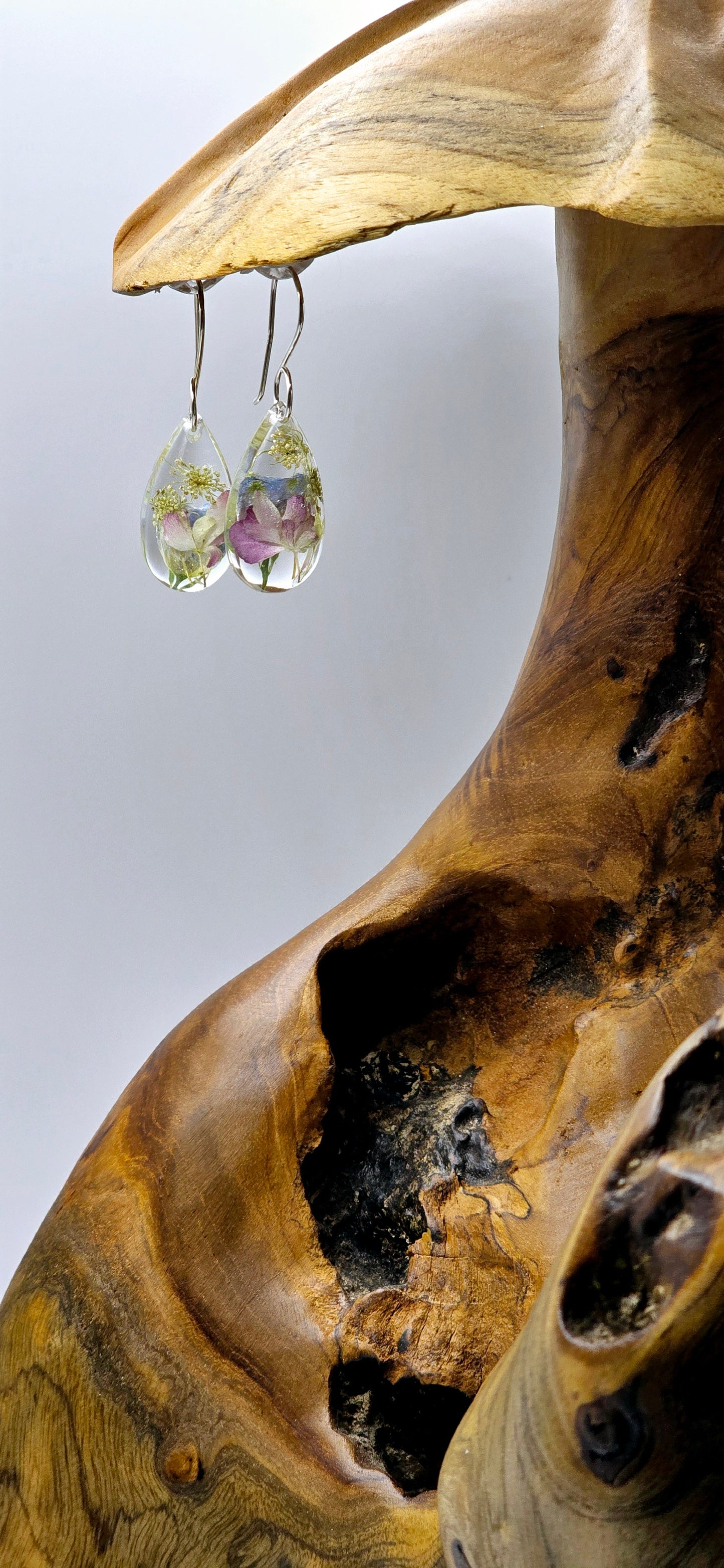Specimens of Queen Anne's Lace, Delphinium and Hydrangea
