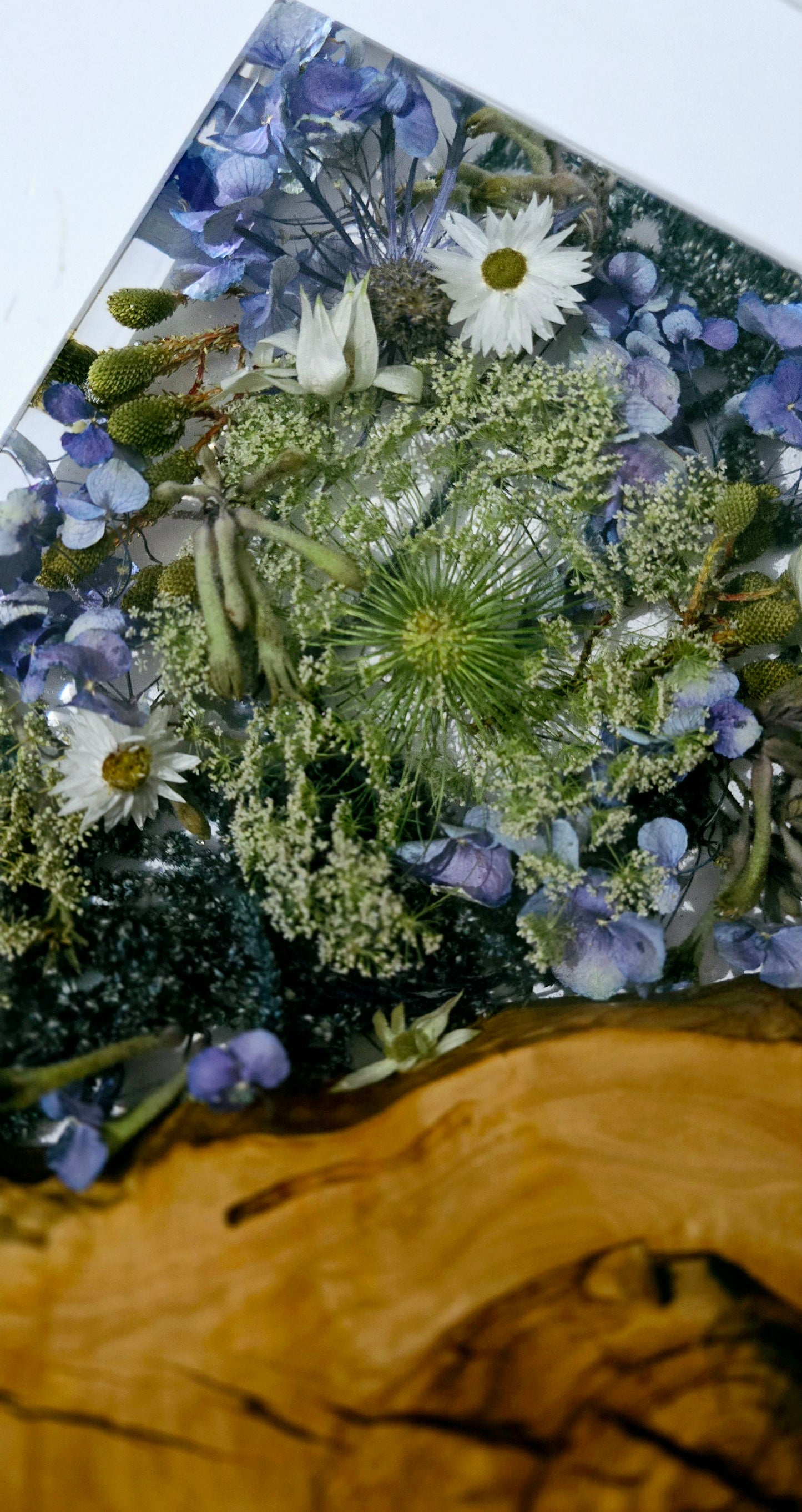 Flower Board with Olivewood, Kangaroo Paw, Queen Anne's Lace, Amaranthus, Hydrangea, Berzellia, Sea Holly, Flannel Flower and Paper Daisies.