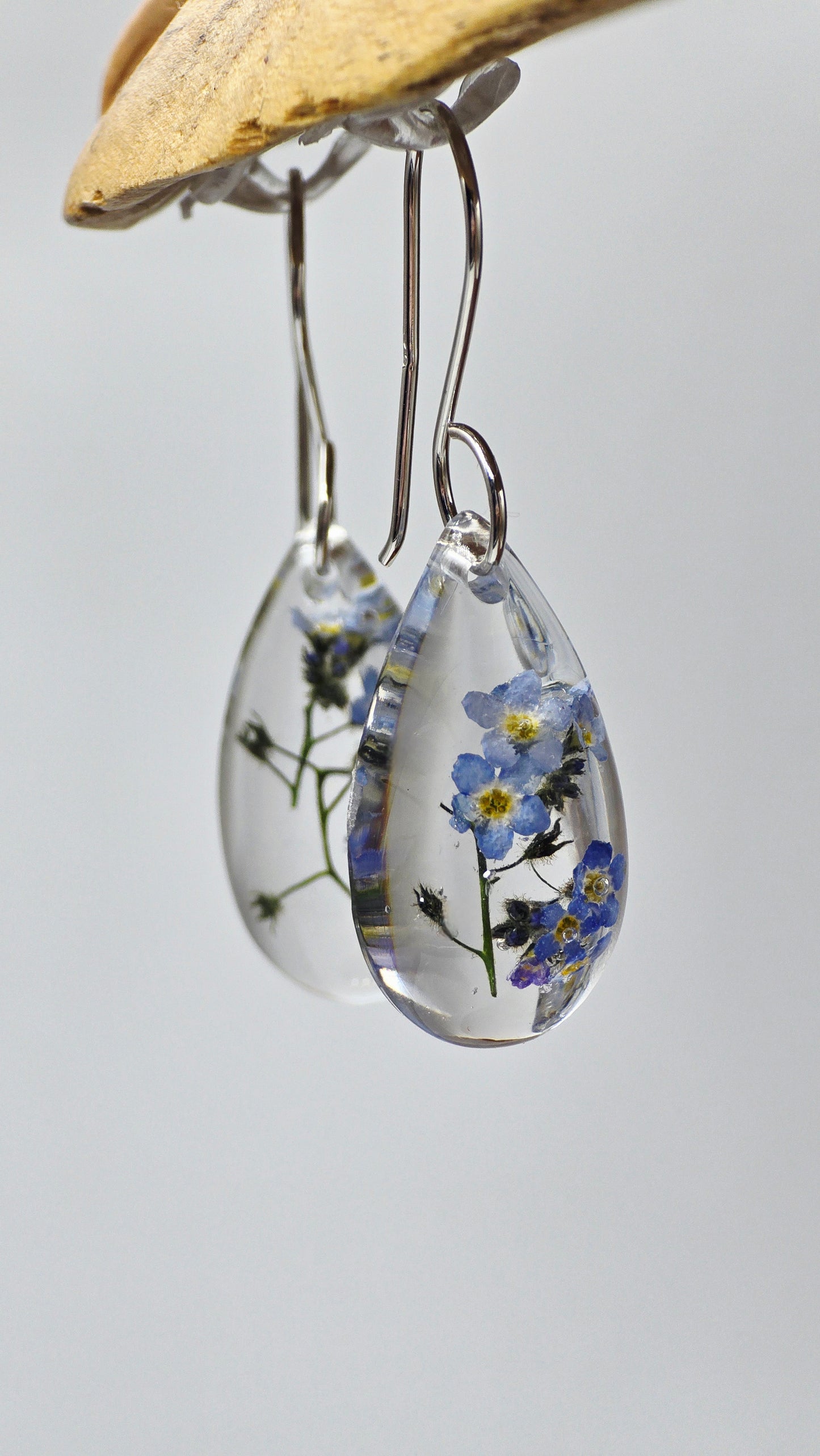 Earrings featuring wildflower specimens of Preserved Forget-Me-Not, secured on .925 Sterling Silver Shepherd Hook
