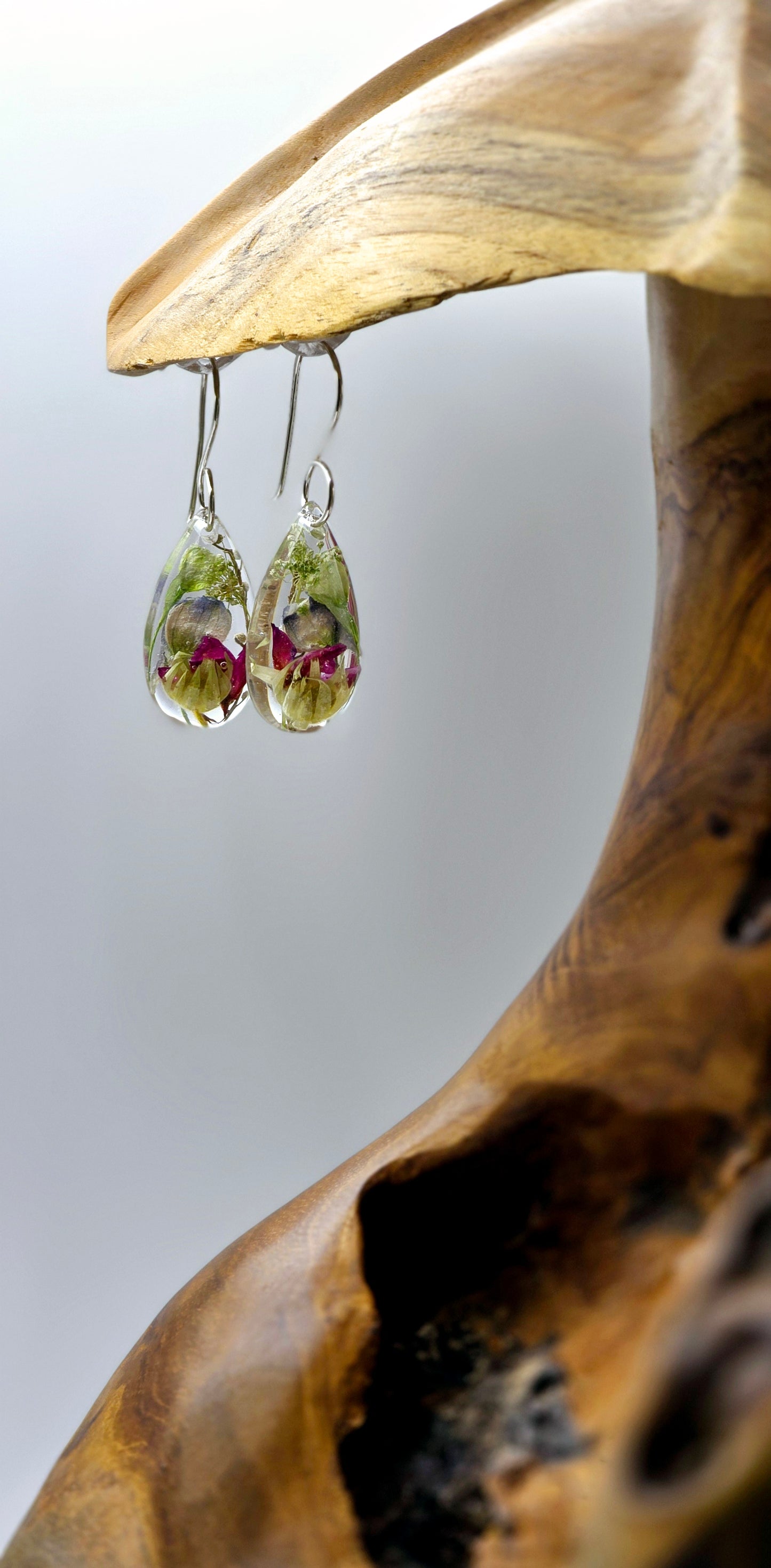 Specimens of Flannel Flower, Queen Anne's Lace, Boronia, Wattle and Delphinium