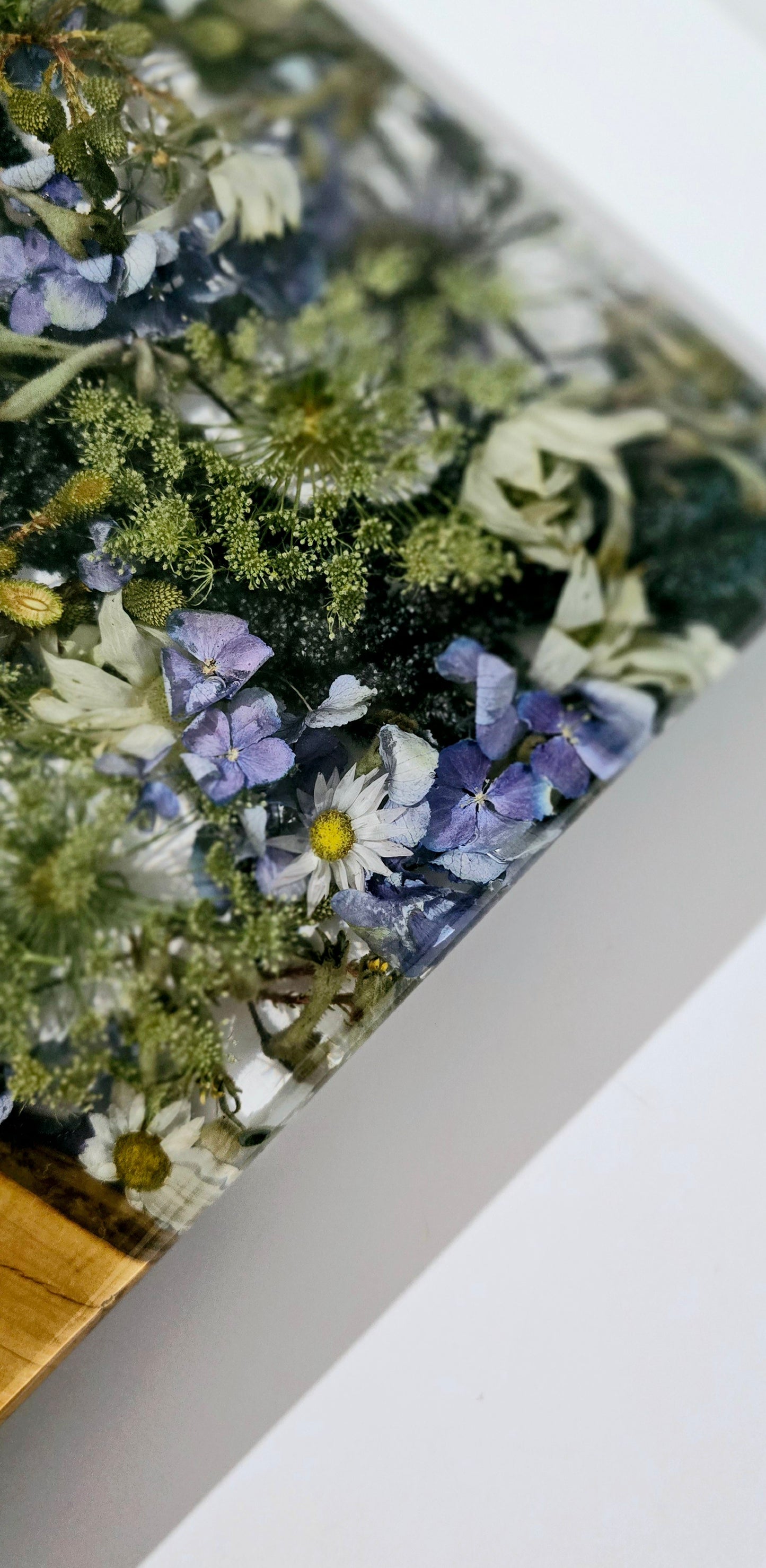 Flower Board with Olivewood, Kangaroo Paw, Queen Anne's Lace, Amaranthus, Hydrangea, Berzellia, Sea Holly, Flannel Flower and Paper Daisies.