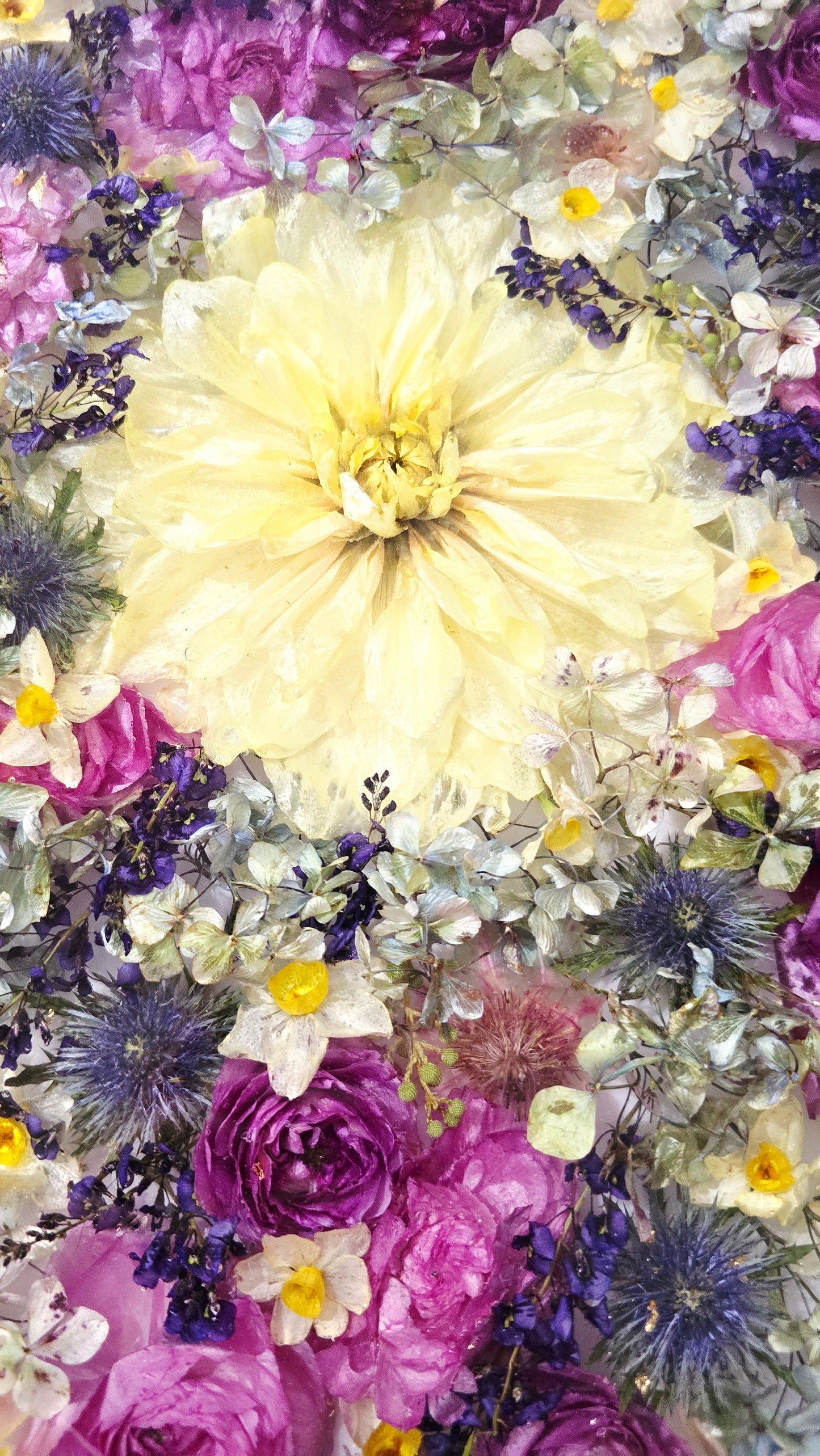 450mm Round Flower Board, complete with Lazy Susan, featuring  real preserved Ranunculus, Dahlias, Hydrangeas, pink Roses, Sea Holly, Hardenbergia, Jonquils & Blushing Bride set in Resin