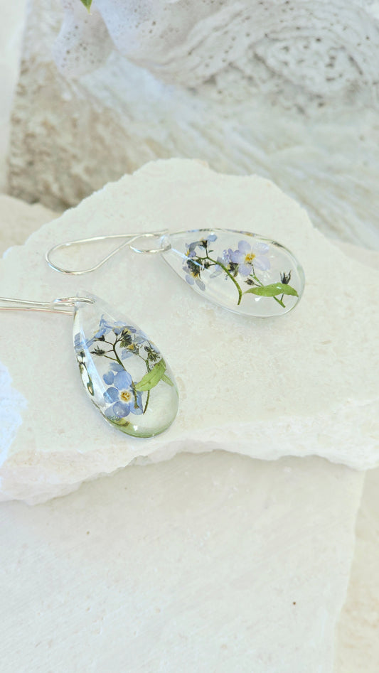 Earrings featuring wildflower specimens of Preserved Forget-me-not, secured on a .925 Sterling Silver Hook
