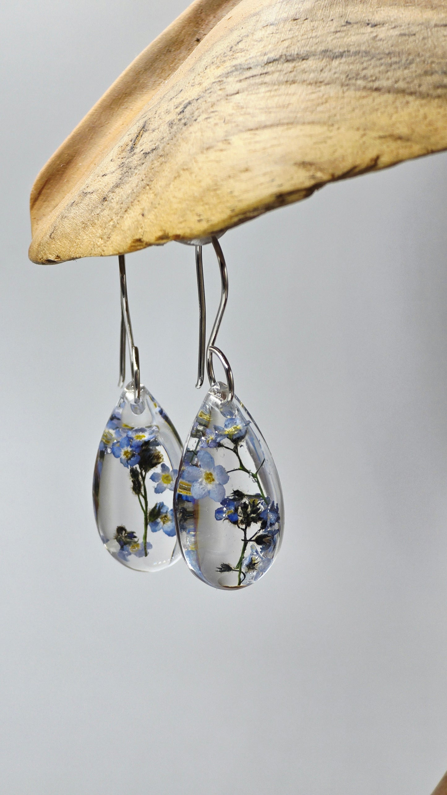Earrings featuring wildflower specimens of Preserved Forget-Me-Not, secured on .925 Sterling Silver Shepherd Hook