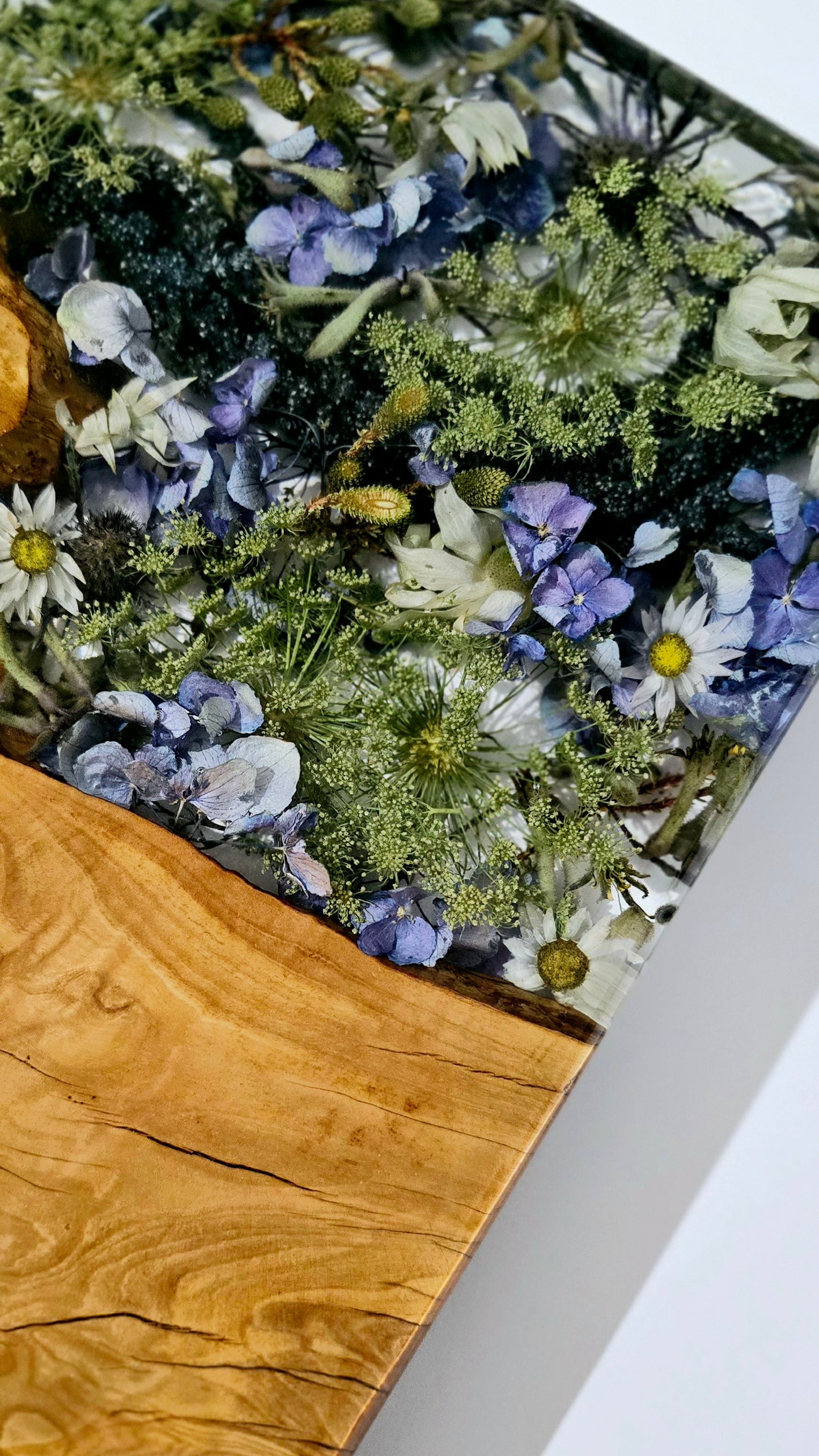 Flower Board with Olivewood, Kangaroo Paw, Queen Anne's Lace, Amaranthus, Hydrangea, Berzellia, Sea Holly, Flannel Flower and Paper Daisies.