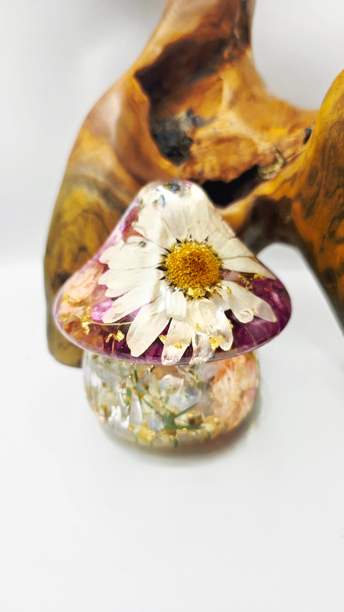 Mushroom Trinket Jar featuring real Preserved Shasta Daisy, Ranunculus, Carnation, Stock, Butterfly Delphinium, Chamomile & Forget-me-not set in resin