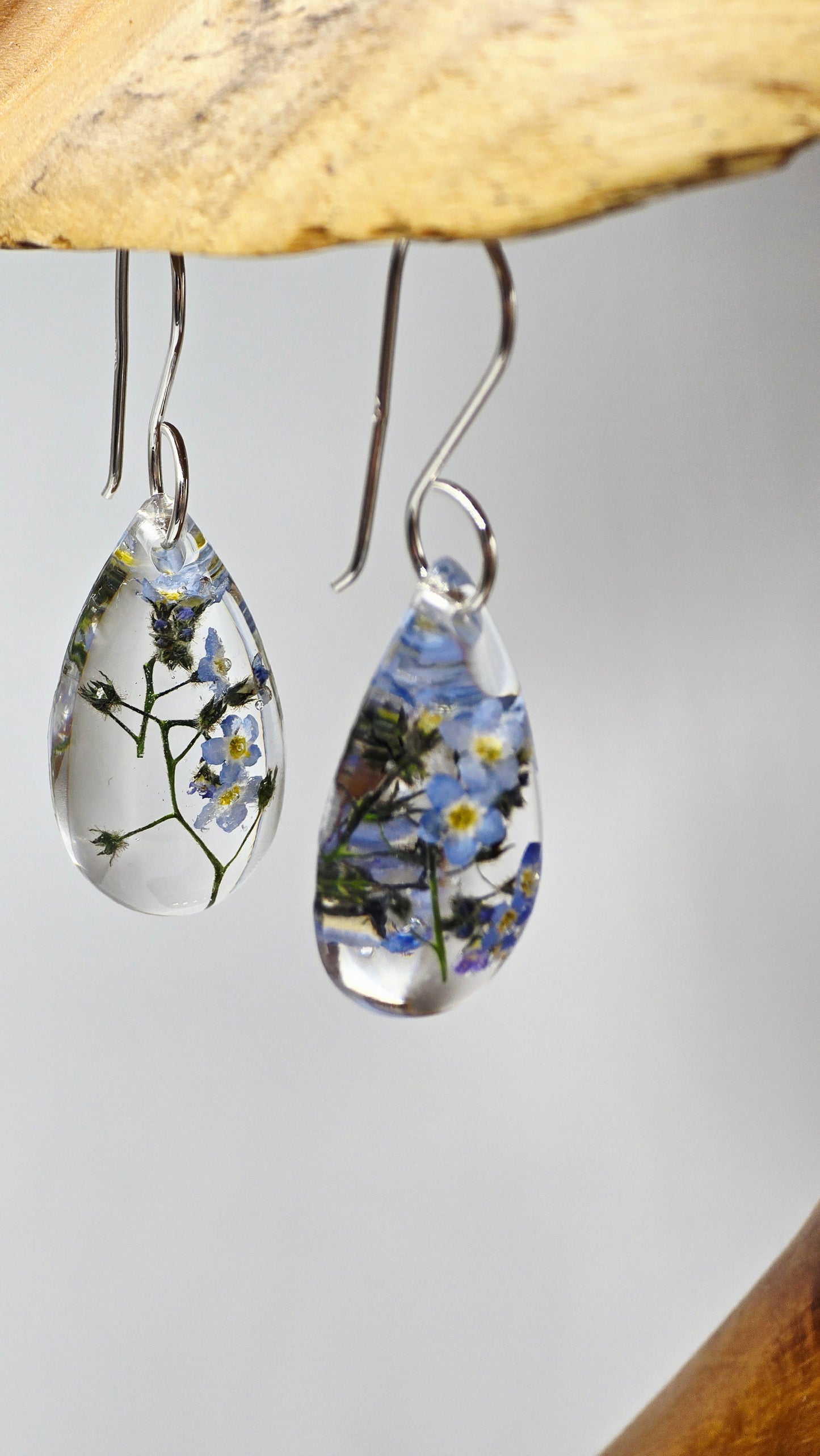 Earrings featuring wildflower specimens of Preserved Forget-Me-Not, secured on .925 Sterling Silver Shepherd Hook