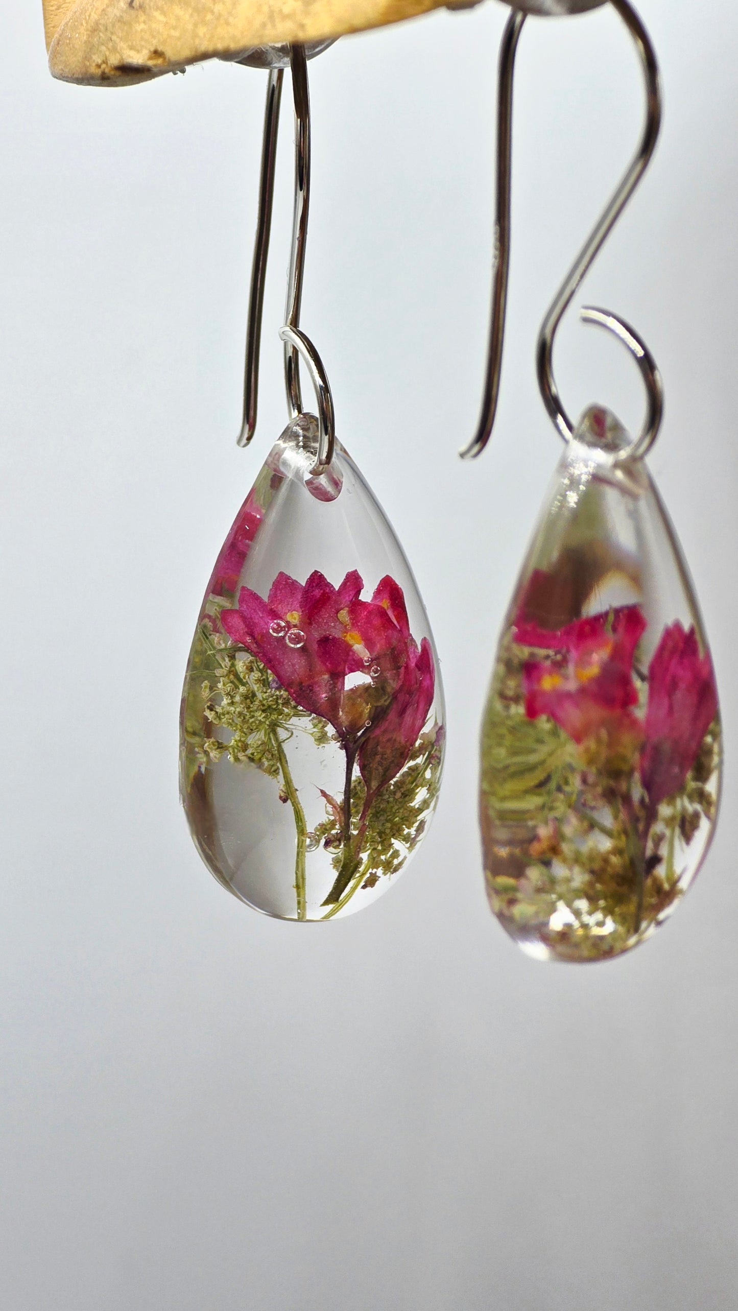 Earrings featuring wildflower specimens of Preserved Coral Bells & Queen Annes Lace, secured on a .925 Sterling Silver Shepherd Hook