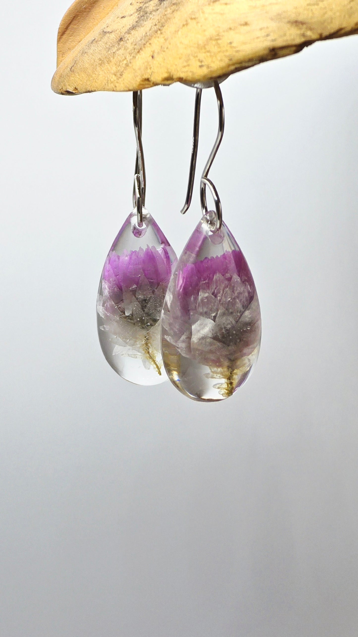 Earrings featuring wildflower specimens of Preserved Rhodanthe, Pink Paper Daisy, secured on a .925 Sterling Silver Hook