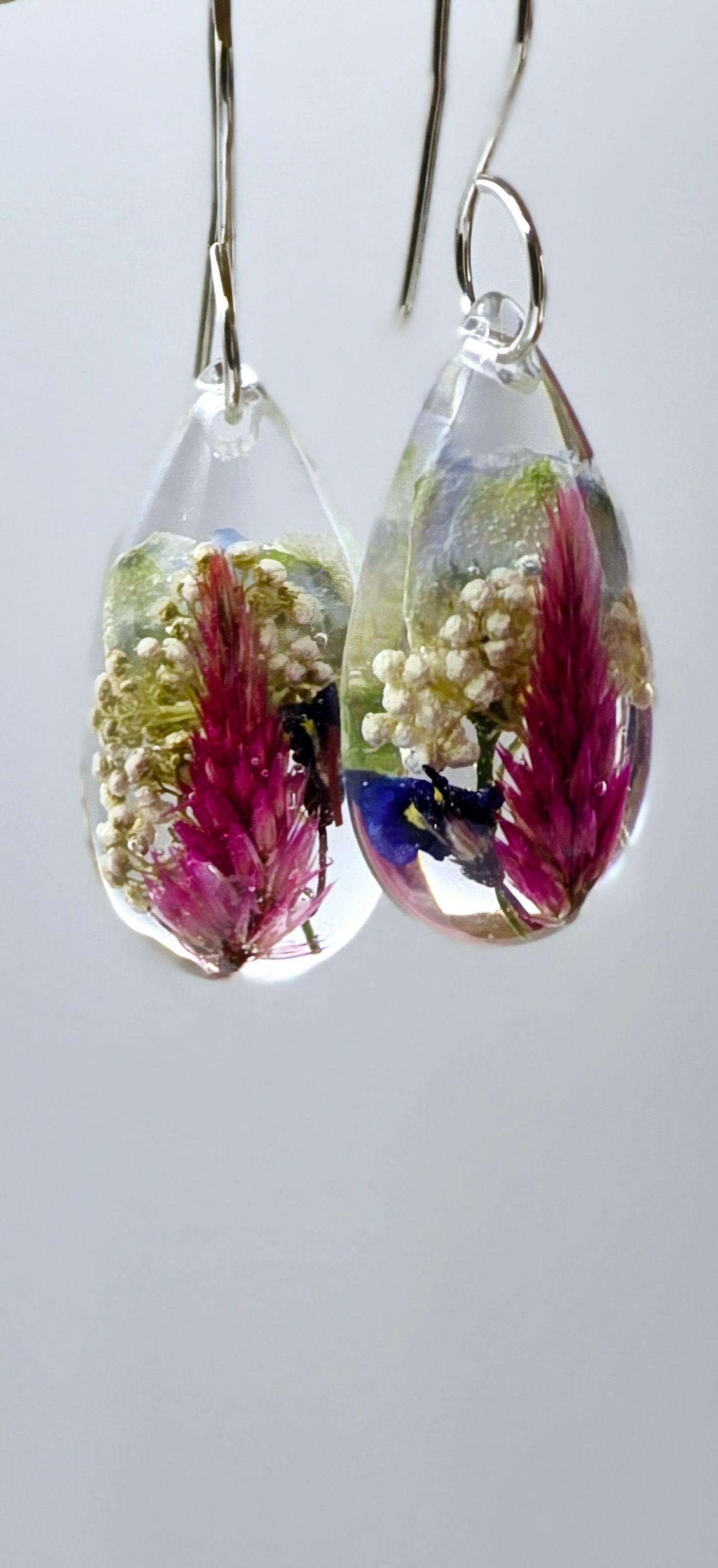 Specimens of Celosia, Riceflower, Hardenbergia and Delphinium