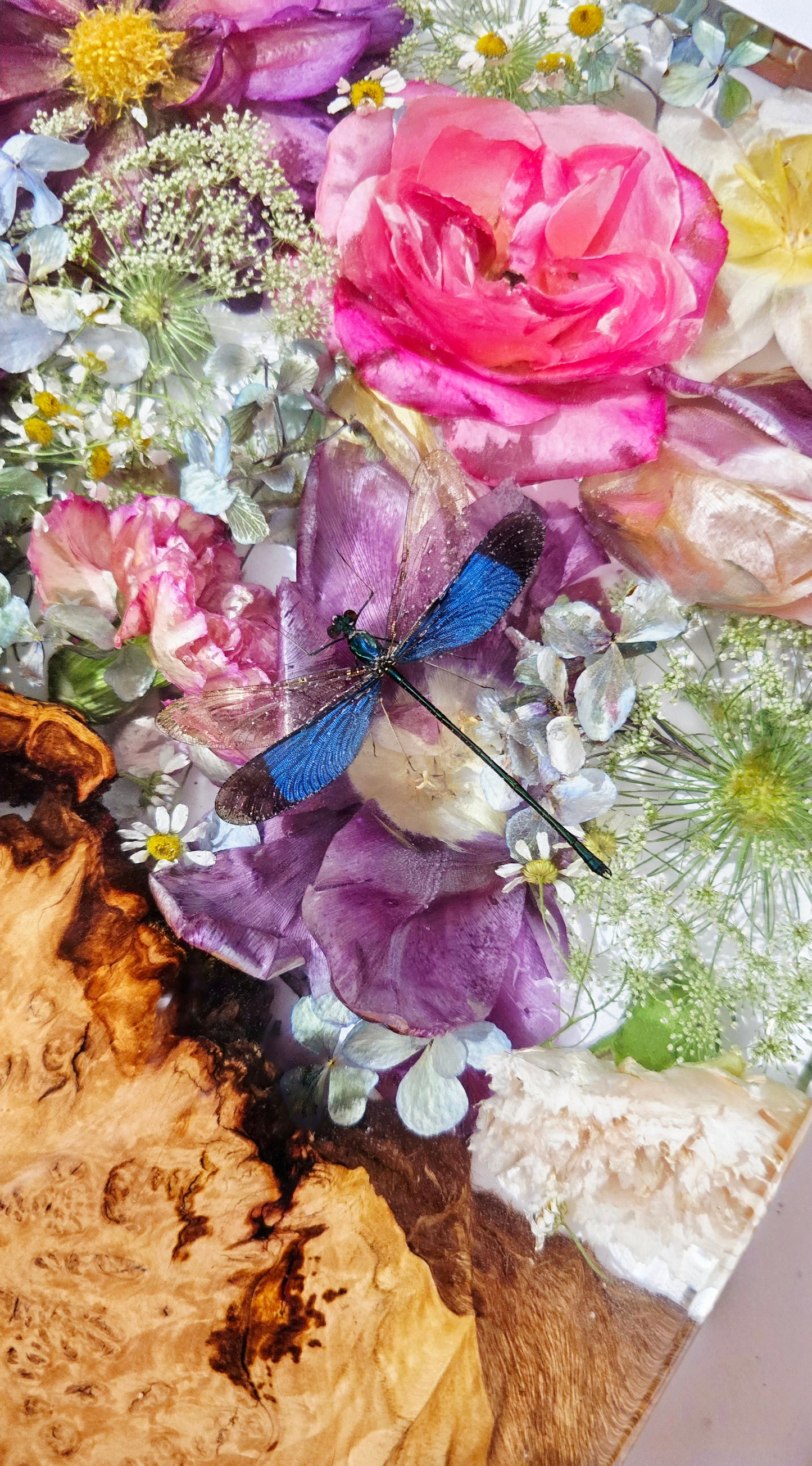 Flower Board featuring a stunning Preserved Dragonfly with Tulips, David Austen Roses, Hydrangea, Queen Annes Lace & Carnations