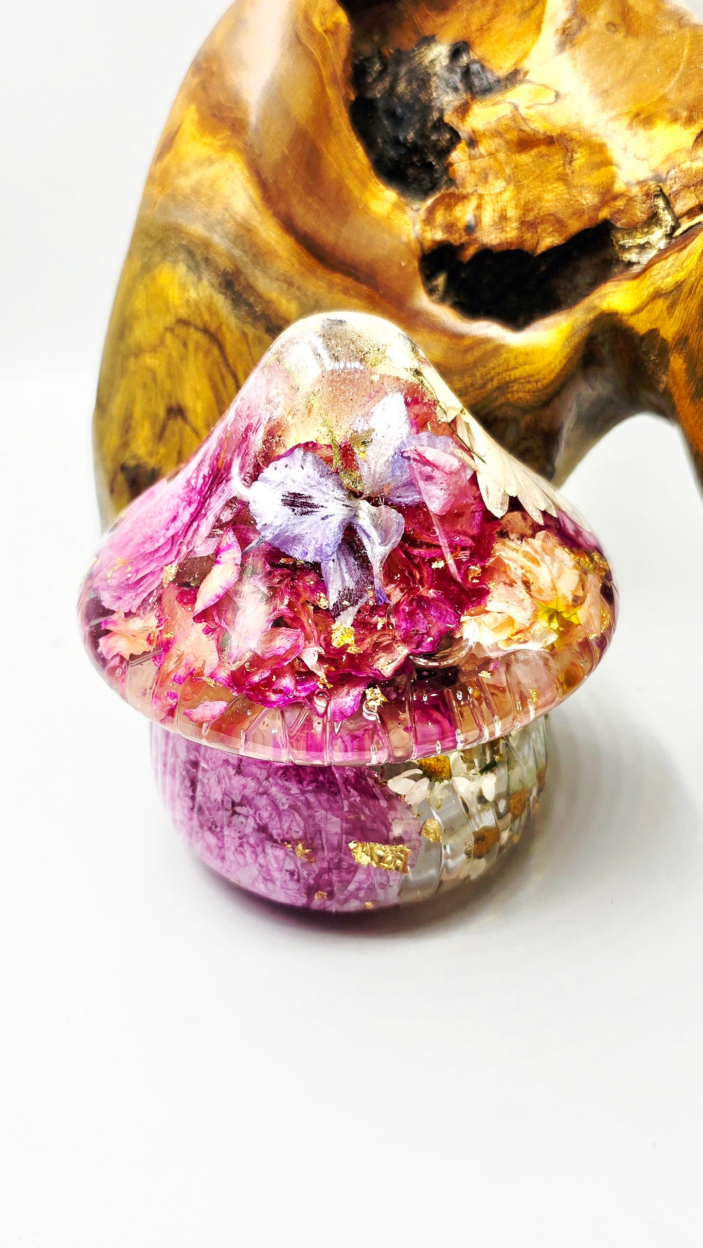 Mushroom Trinket Jar featuring real Preserved Shasta Daisy, Ranunculus, Carnation, Stock, Butterfly Delphinium, Chamomile & Forget-me-not set in resin