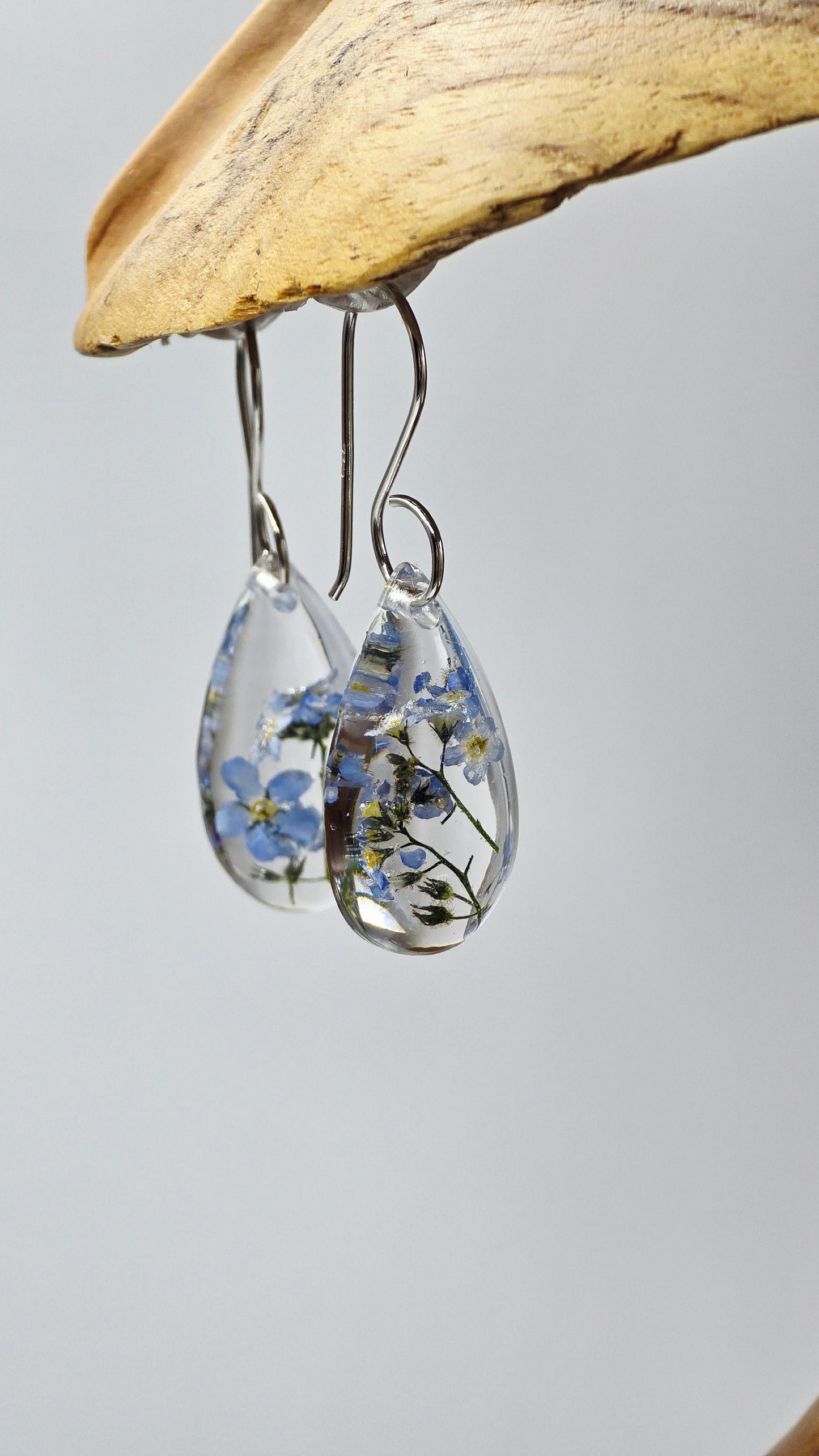 Earrings featuring wildflower specimens of Preserved Forget-Me-Not, secured on .925 Sterling Silver Shepherd Hook