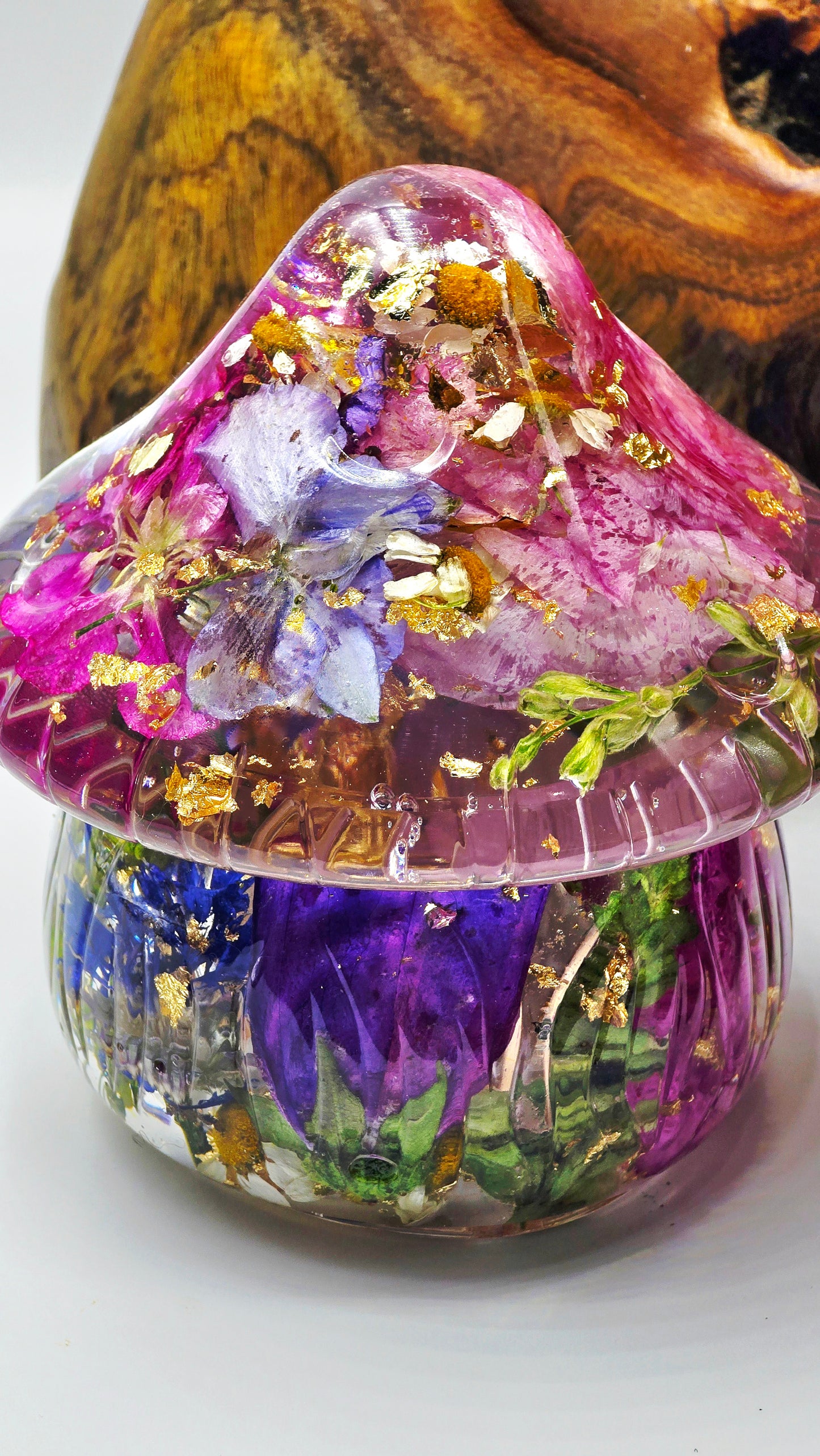 Mushroom Trinket Jar featuring Real Preserved Primula, Butterfly Delphinium, Stock, Snapdragon, Cornflower, Chamomile, Bellflower & Ranunculus set in resin
