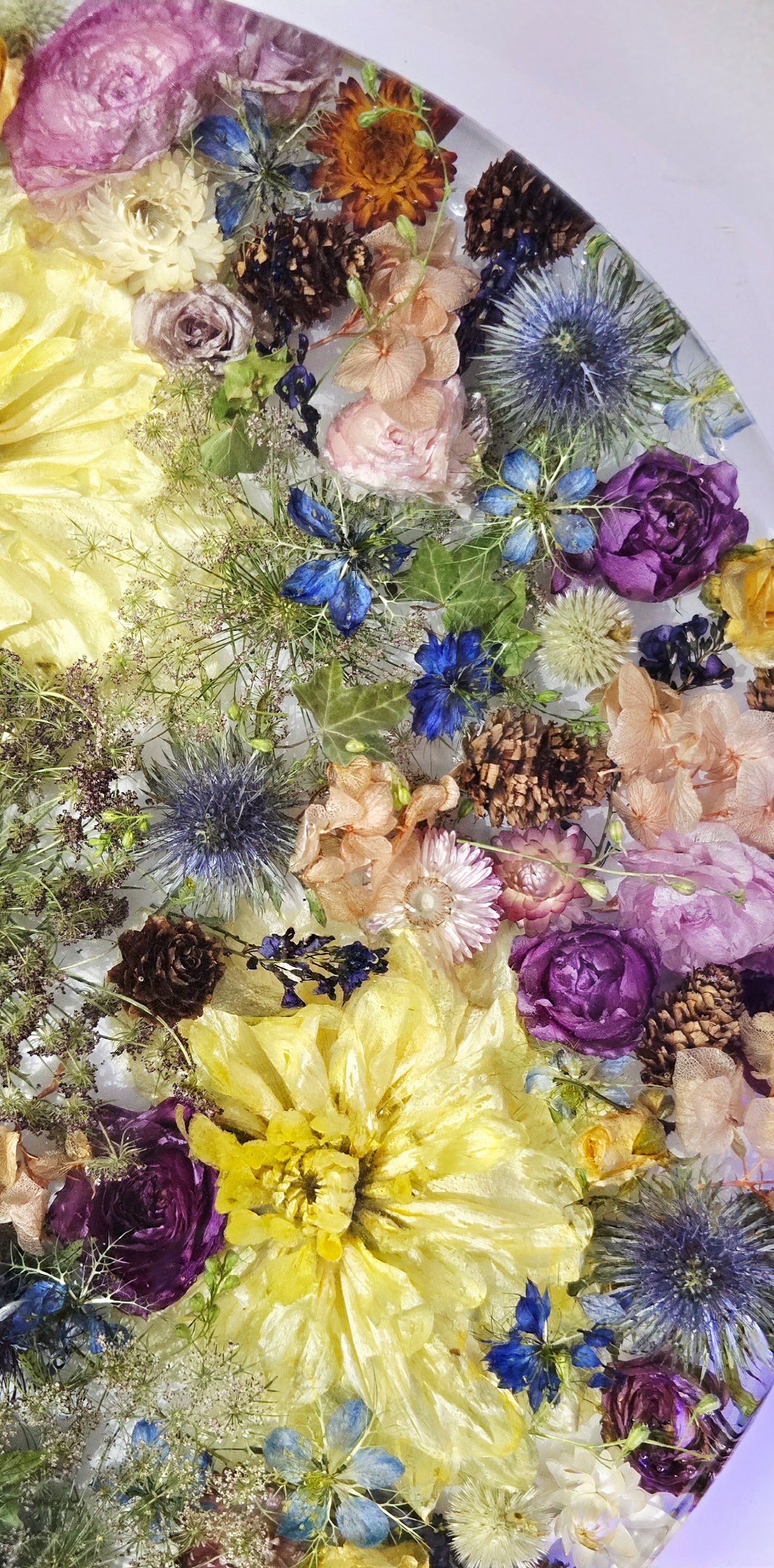 450mm Round Flower Board, complete with Lazy Susan, featuring  real preserved Nigella, Paper Daisies, Delphinium, Ivy,  Ranunculus, Dahlias, Chocolate Queen Annes Lace, Roses, Sea Holly, Hardenbergia & mini Pinecones set in Resin