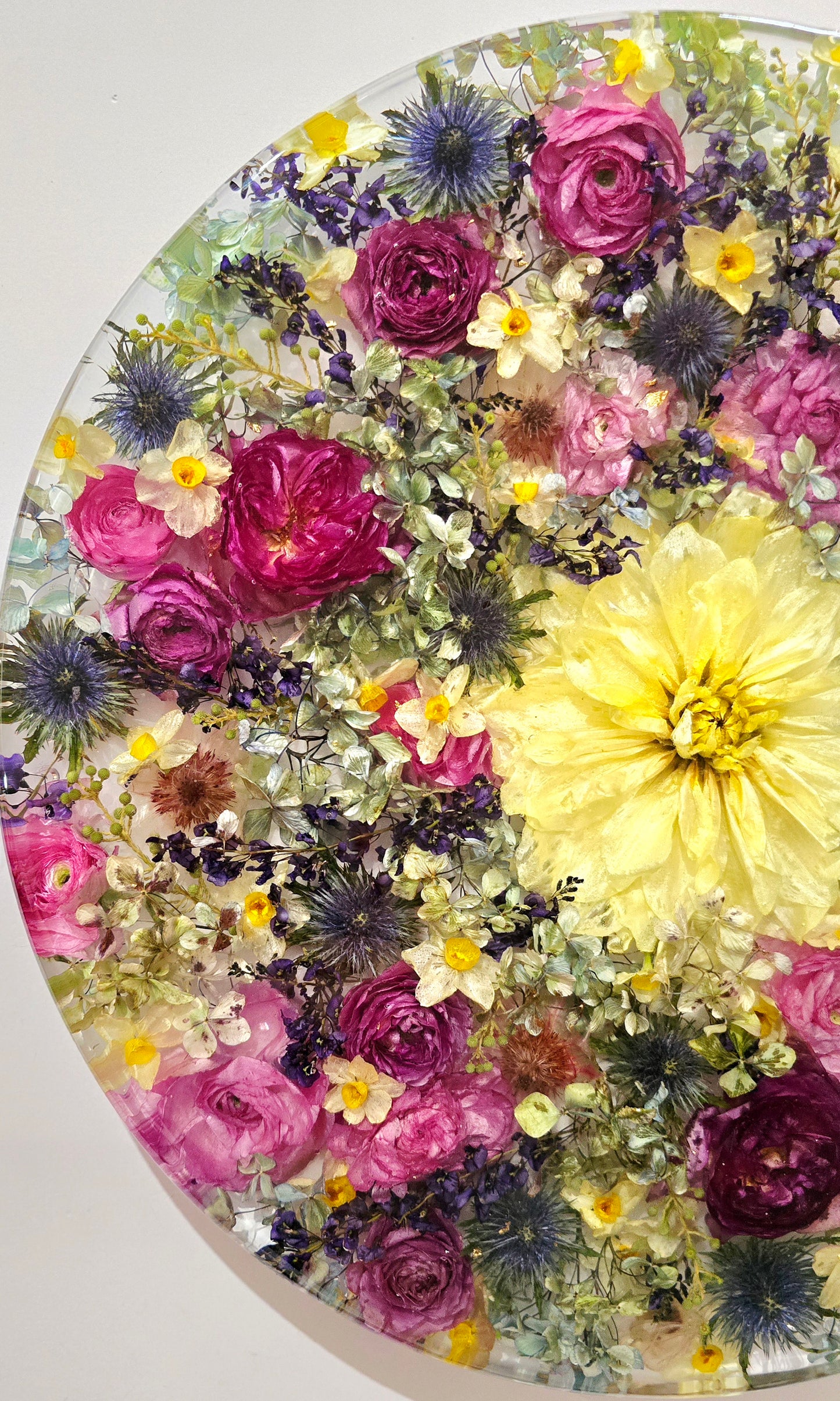 450mm Round Flower Board, complete with Lazy Susan, featuring  real preserved Ranunculus, Dahlias, Hydrangeas, pink Roses, Sea Holly, Hardenbergia, Jonquils & Blushing Bride set in Resin