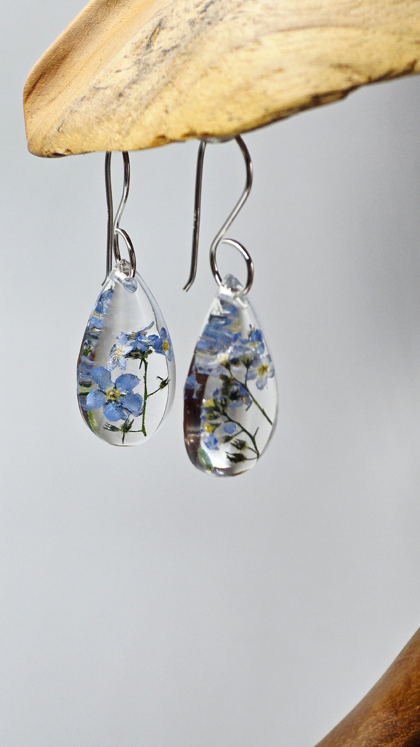 Earrings featuring wildflower specimens of Preserved Forget-Me-Not, secured on .925 Sterling Silver Shepherd Hook