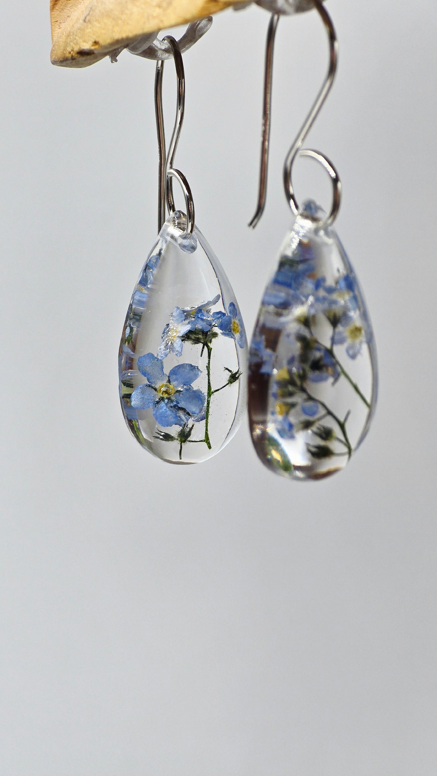 Earrings featuring wildflower specimens of Preserved Forget-Me-Not, secured on .925 Sterling Silver Shepherd Hook