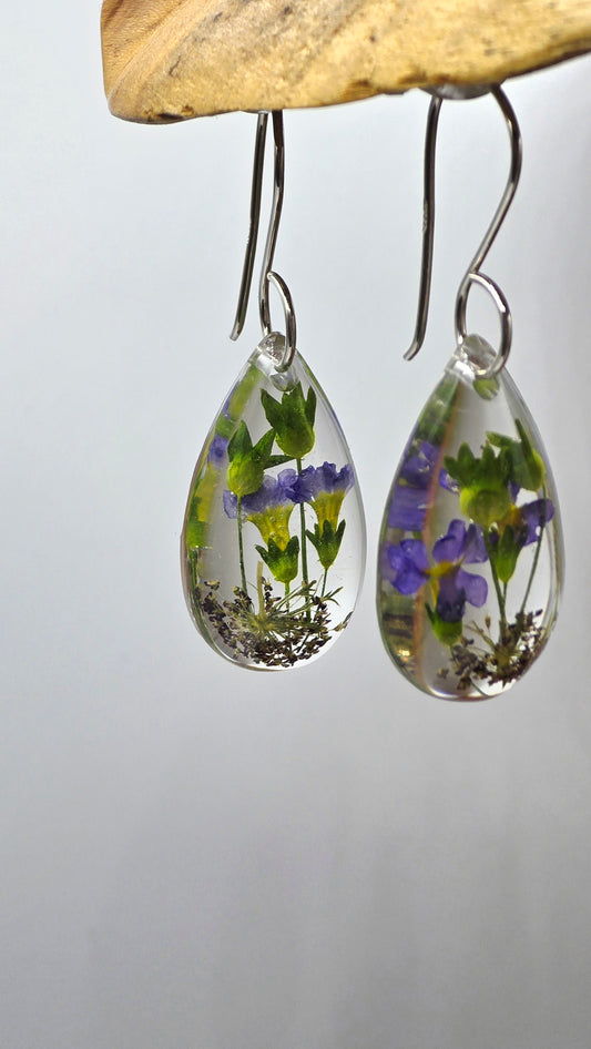 Earrings featuring wildflower specimens of Preserved Primula & Chocolate Queen Annes Lace, secured on a .925 Sterling Silver Hook