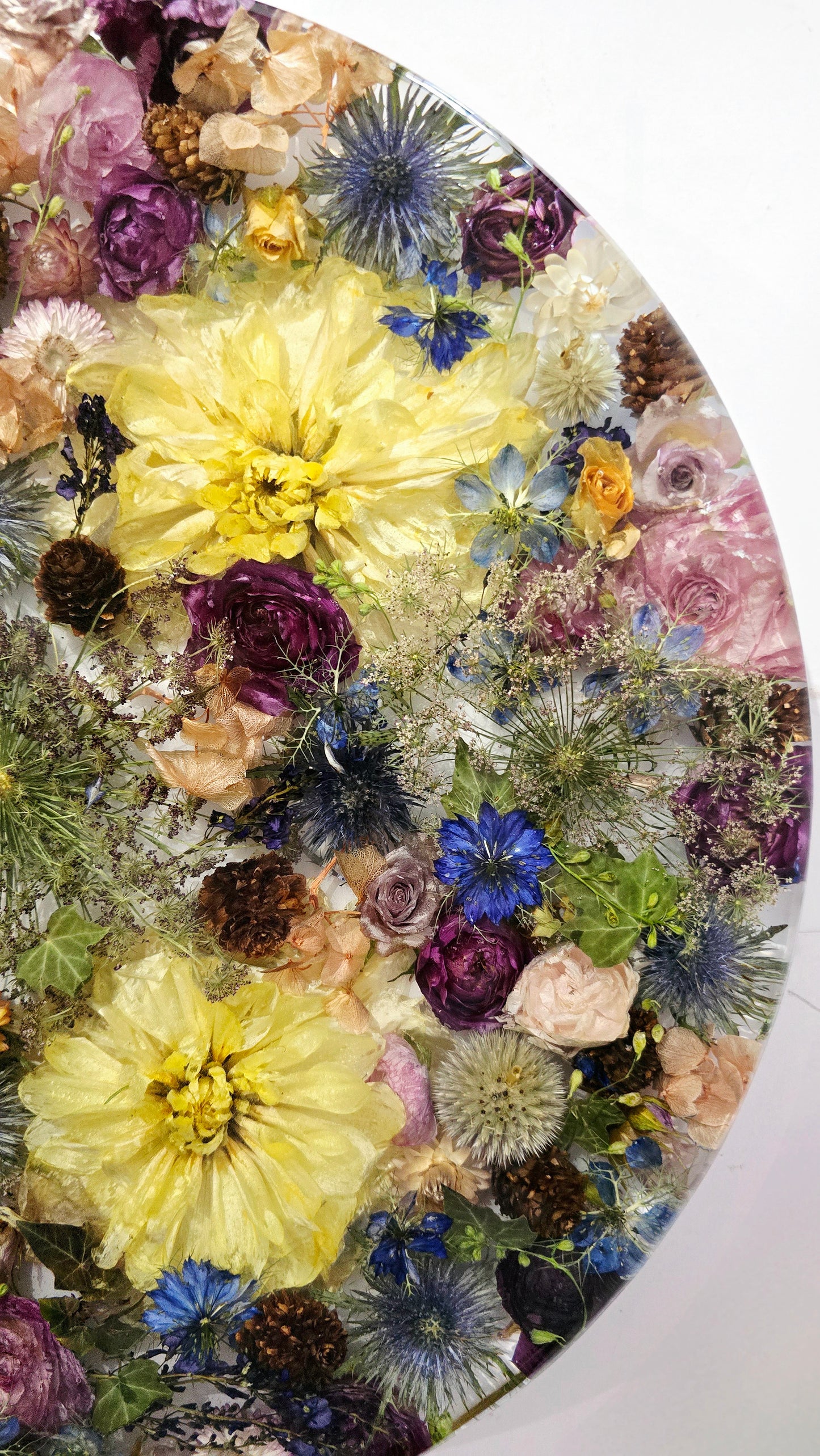 450mm Round Flower Board, complete with Lazy Susan, featuring  real preserved Nigella, Paper Daisies, Delphinium, Ivy,  Ranunculus, Dahlias, Chocolate Queen Annes Lace, Roses, Sea Holly, Hardenbergia & mini Pinecones set in Resin
