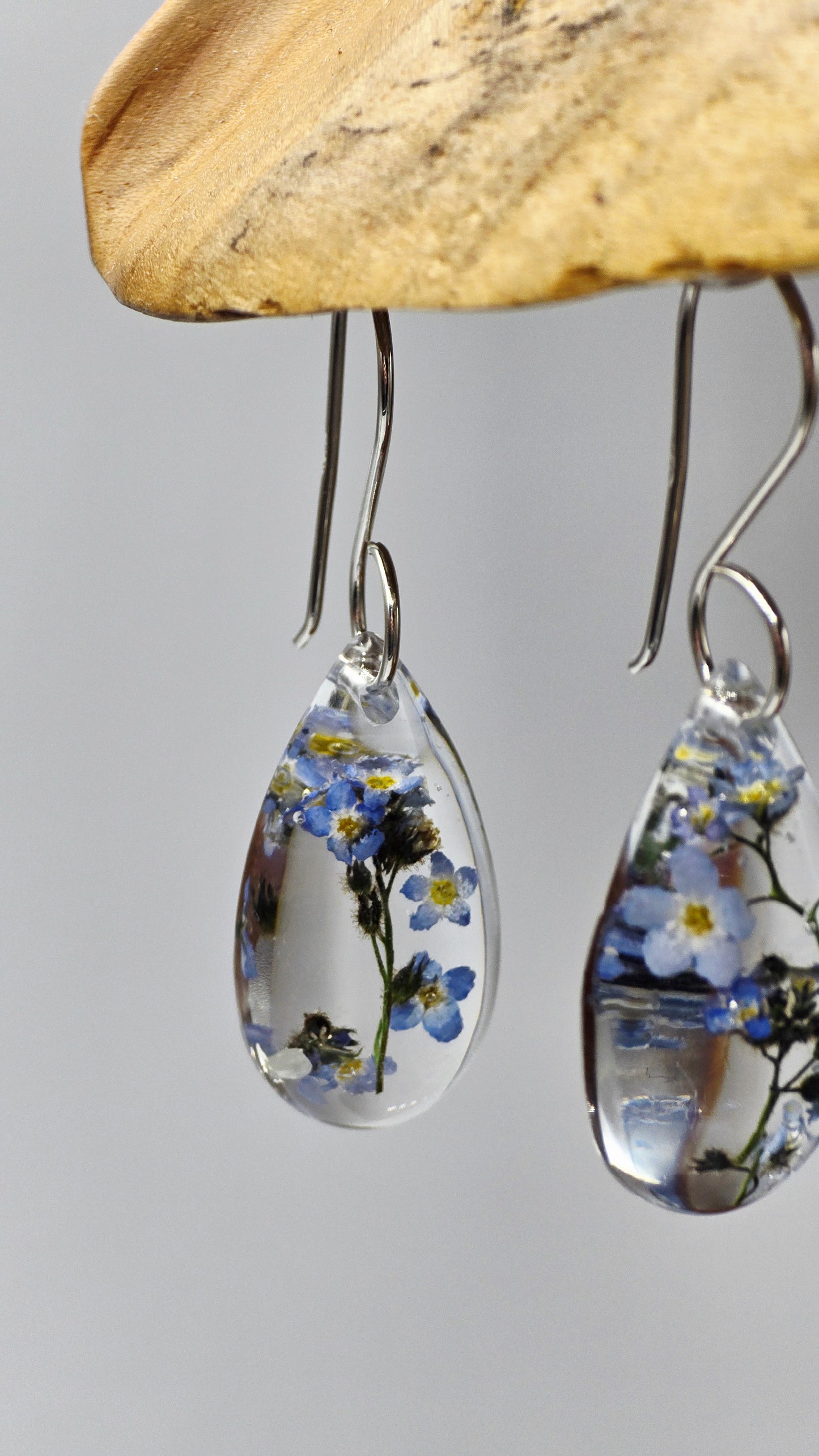 Earrings featuring wildflower specimens of Preserved Forget-Me-Not, secured on .925 Sterling Silver Shepherd Hook
