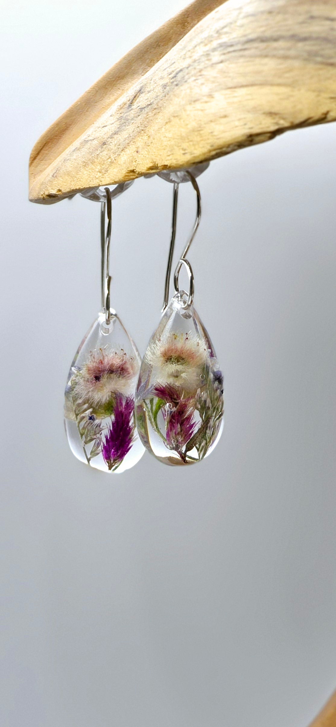 Specimens of Celosia, Statice, Featherflower and Delphinium