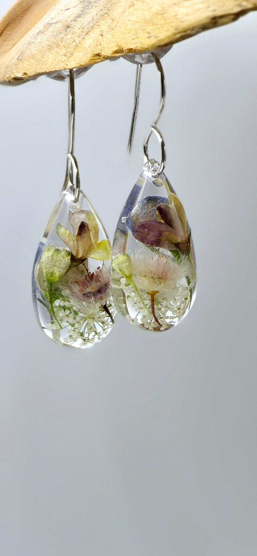 Specimens of Queen Anne's Lace, Delphinium, Hardenbergia and Featherflower.