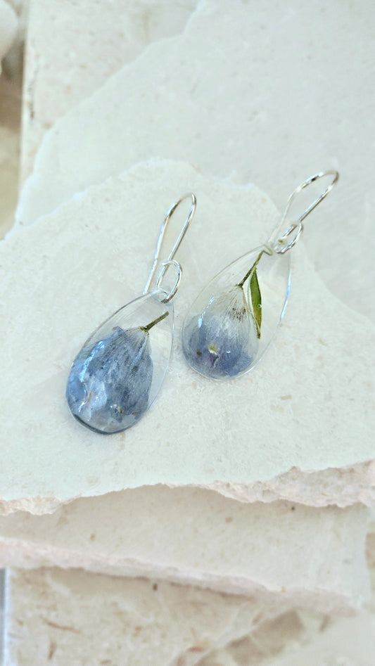 Earrings featuring wildflower specimens of Preserved Delphinium, secured on a .925 Sterling Silver Hook