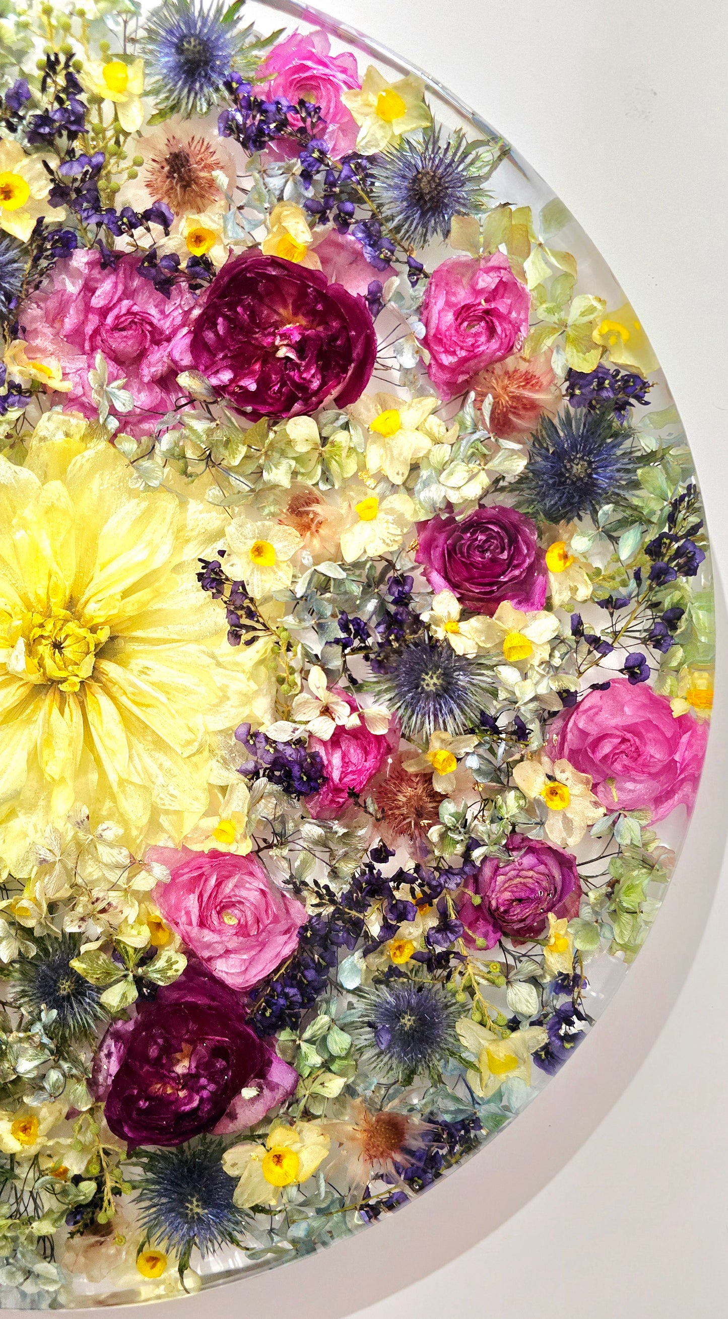 450mm Round Flower Board, complete with Lazy Susan, featuring  real preserved Ranunculus, Dahlias, Hydrangeas, pink Roses, Sea Holly, Hardenbergia, Jonquils & Blushing Bride set in Resin